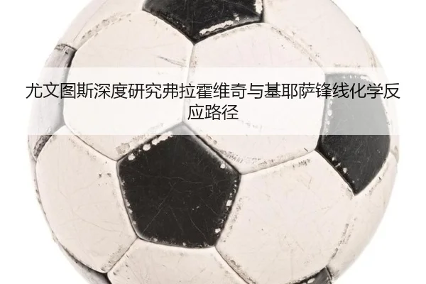 尤文图斯深度研究弗拉霍维奇与基耶萨锋线化学反应路径 - 新闻资讯相关报道缩略图